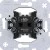 morepic-1