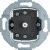 morepic-1