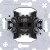 morepic-1
