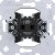 morepic-1