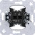 morepic-1