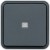 morepic-1