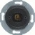morepic-1