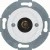 morepic-1