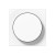 morepic-1