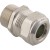 morepic-1