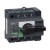 morepic-1