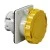 morepic-1