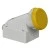 morepic-1