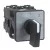 morepic-1