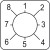 morepic-1