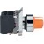 morepic-1