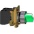morepic-1