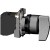 morepic-1