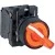 morepic-1