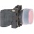 morepic-1