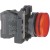 morepic-1