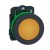 morepic-1