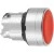 morepic-1