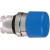 morepic-1