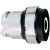 morepic-1