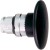 morepic-1