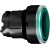 morepic-1