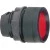 morepic-1