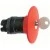 morepic-1