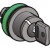 morepic-1