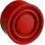 morepic-1