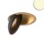 morepic-1