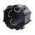 morepic-1