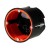 morepic-1