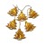 morepic-1