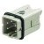 morepic-1