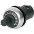 morepic-1