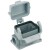morepic-1
