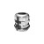morepic-1