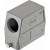 morepic-1