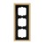morepic-2