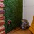 morepic-3
