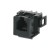 morepic-4
