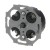 morepic-4