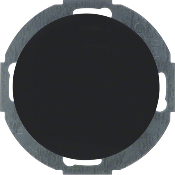Berker 10092035 Blindverschluss mit Zentralstück Serie R.Classic schwarz glänzend