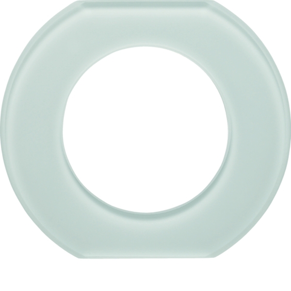 Berker 109309 Glasmittelrahmen 1-fach Serie Glas polarweiß