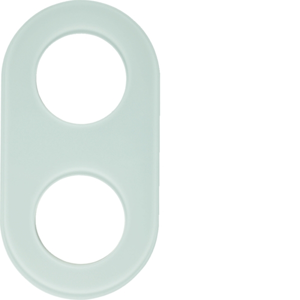 Berker 110209 Glasrahmen 2-fach Serie Glas polarweiß
