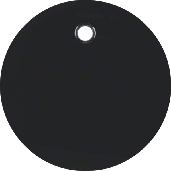 Berker 11462045 Zentralstück für Zugschalter und Zugtaster R.1/R.3 schwarz glänzend