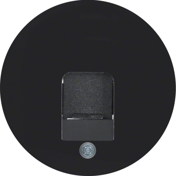 Berker 11702045 Zentralstück mit Staubschutzschieber R.1/R.3 schwarz glänzend