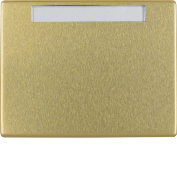 Berker 14360002 Wippe mit Beschriftungsfeld Arsys gold Metall